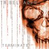 Download track Terminate (Master 2)