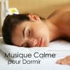 Download track Bruit De Pluie Et Musique 2 Pour Dormir