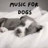 Download track Deep Sleep For Dogs