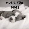 Download track Canine Collection