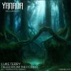 Download track Tales From The Forest (Andrew Rayel Sunrise Remix)