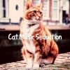 Download track Artistic Ambiance For Cats