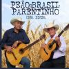 Download track Pagode Na Viola