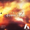 Download track Flaming Skies (Original Mix)