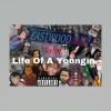 Download track Life Of A Youngin