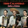 Download track Bailes De Mexico