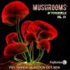 Download track Magic Mushroom Trip (Original Mix)