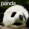 Download track Panda, Volume One (Compiled By Sensorica)