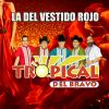 Download track La Del Vestido Rojo