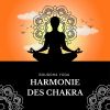 Download track Musique Ambiante De Yoga