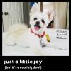 Download track Just A Little Joy (But It's A Real Big Deal)