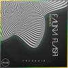 Download track Fauna Flash (Saul P Remix)