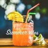 Download track Summer Vibes (Extended)