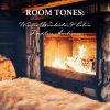 Download track Winter Wonderland Cabin Fireplace Ambience, Pt. 3