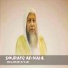 Download track Sourate An Nahl, Pt. 2