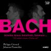 Download track Bach: Sonata In A Major, BWV 1015: I. [Without Indication]