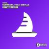 Download track Can't You See (Radio Edit)