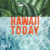 Download track Haleiwa Town