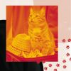 Download track Spacious Music For Home Cats