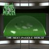 Download track The Next Puddle Realm