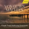 Download track St. Matthew Passion, BWV 244, Pt. 2: No. 39, Erbarme Dich, Mein Gott (Arr. For Piano By Frank Zabel)