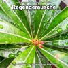 Download track Regengeräusche, Pt. 6