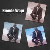 Download track Niende Wapi