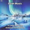 Download track Quiet Music, Pt. 56