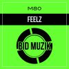 Download track Feelz (Original Mix)