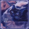 Download track Sleepy Kitty