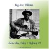 Download track 49 Highway Blues (Remastered 2015)