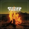 Download track Wild Campfire Ambience In The Nature, Pt. 12