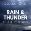 Download track Heavy Rain & Thunder