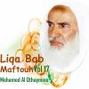 Download track Liqa Bab Maftouh, Pt. 7