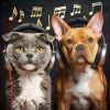 Download track Animal Relaxing Tunes