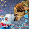 Download track Vibrant Backdrops For Doggy Rest