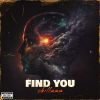 Download track Find You