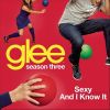 Download track Sexy And I Know It (Glee Cast Version)