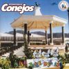 Download track Mix Conejo Santanero: Perfume De Gardenias / Estoy Pensando En Tí / Mi Razón