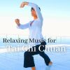 Download track Relaxing Music For Tai Chi Chuan