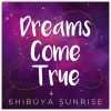 Download track Dreams Come True (Radio Edit)