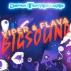 Download track Big Sound