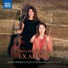 Download track Mozart Duo For Violin & Viola In G Major, K. 423 (Arr. E. Fisk For Flute & Guitar) III. Rondeau. Allegro