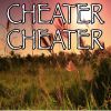 Download track Cheater Cheater - Tribute To Joey And Rory (Instrumental Version)