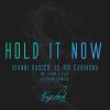 Download track Hold It Now (Cityburn Remix)