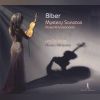 Download track Mystery Sonatas: No. 12, The Ascension, C. 101