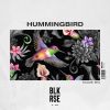 Download track Hummingbird (KAAZE Extended Mix)