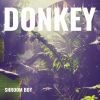 Download track Spanish Donkey