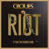 Download track RIOT (DJ MIX)