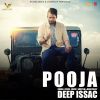 Download track Pooja